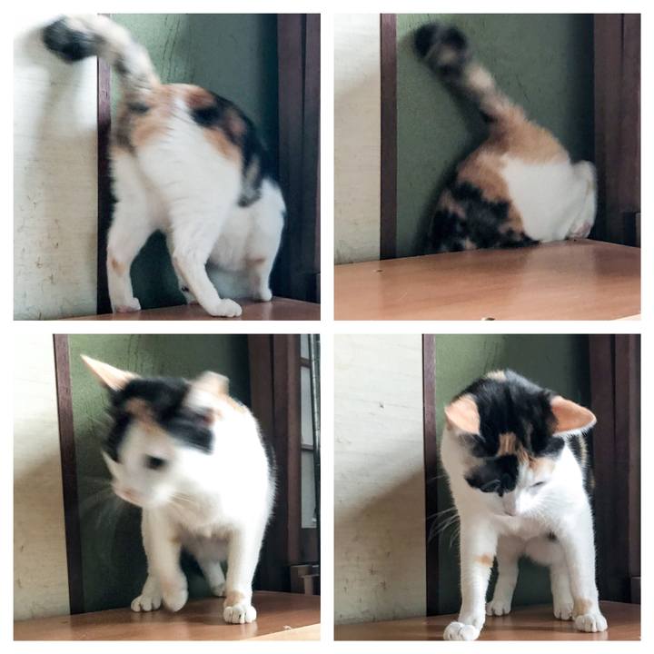 7b62c235 4ca8 4bff b236 c69c7b3ca353