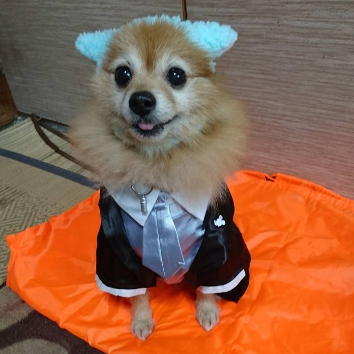 7b62f6c2 8aab 4be4 8a44 18fef6d9ef5e