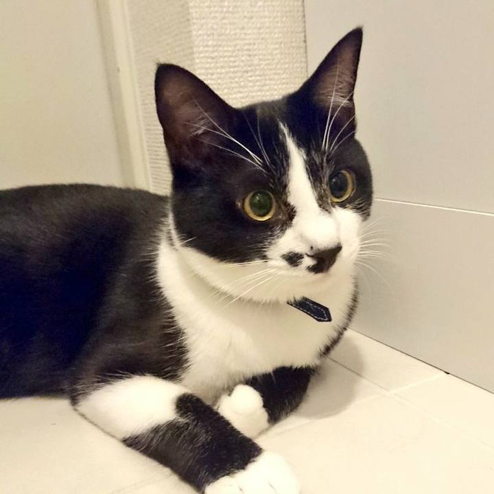 7b633aac c252 4730 8d56 b004f4d07fb3