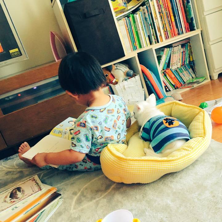 7b635d8e b28a 468b a98a 16a7546e02d4