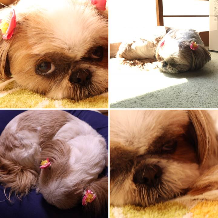 7b638ebe 2d54 4a3c 8694 0e04a4e3cba2