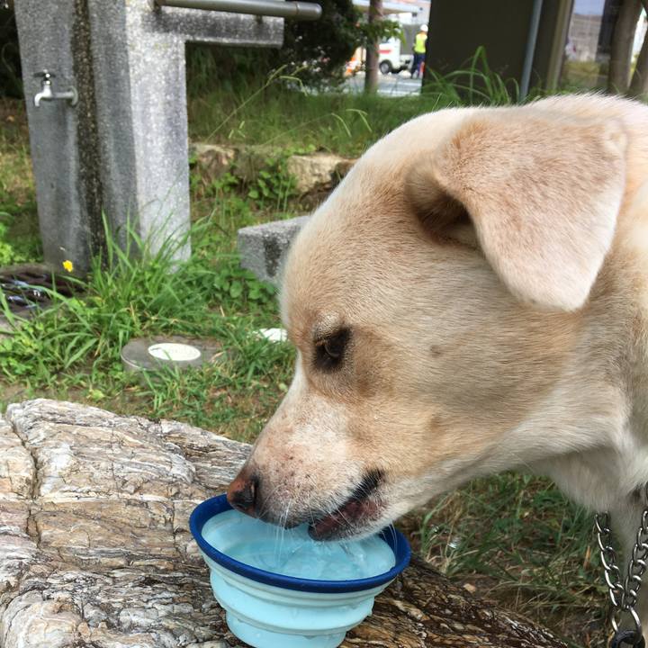 7b63ae46 740d 458a aacd a9da19e417eb