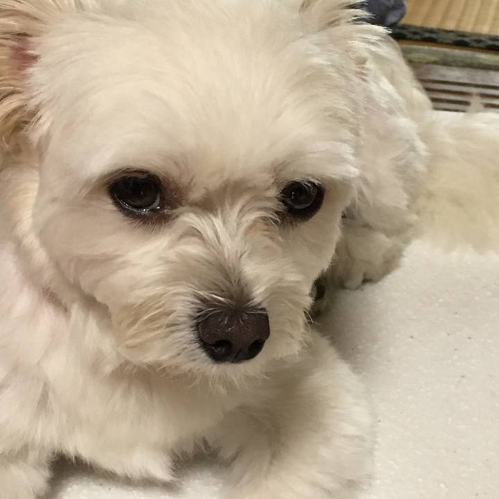 7b63f72a 9d86 446d 8f10 486092d58eb3