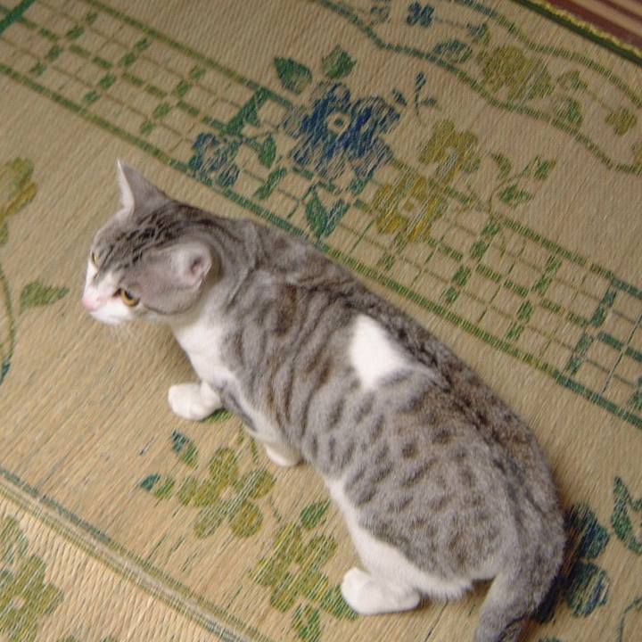 7b6468d9 d3b1 4ab3 85f9 340107639931