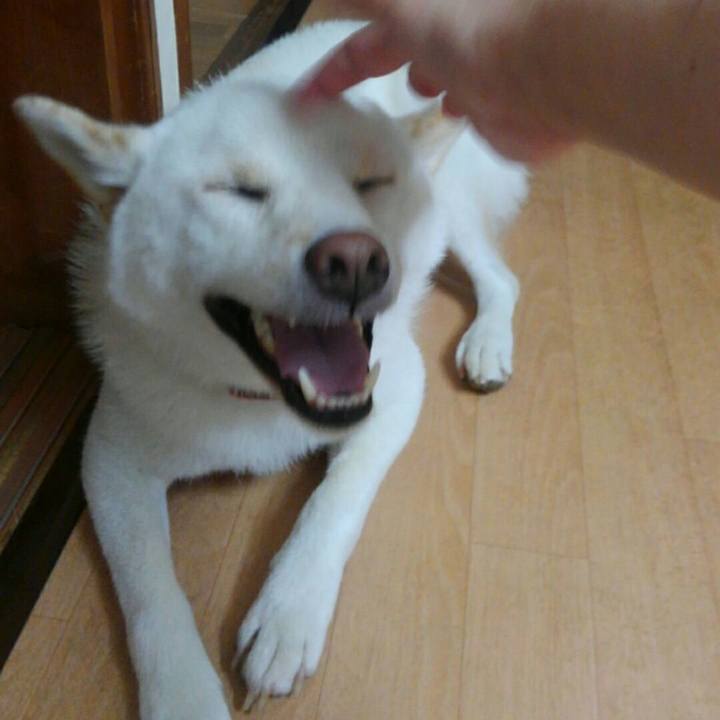 7b652af1 c64e 4723 a272 7a4d6fd5dc57