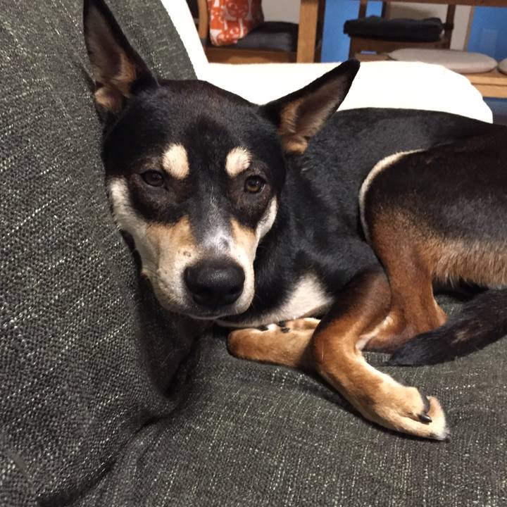 7b65ff6c 1942 4ffc 96c8 cd4200bf59a1