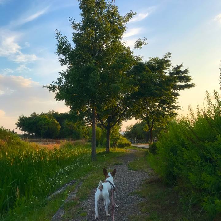 7b669a40 5c17 4b3e a567 a0a2b9b6a85f