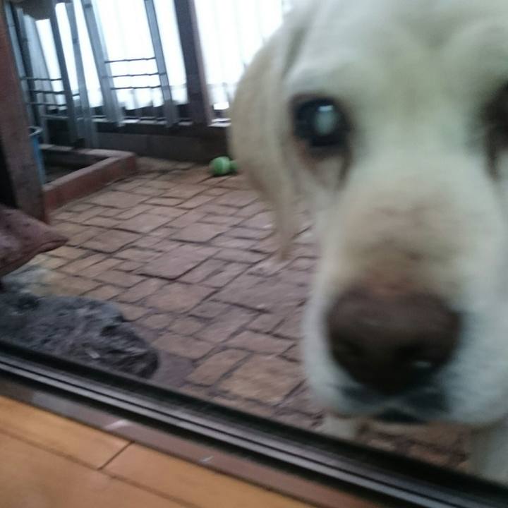 7b672bb5 c9c3 4078 acaf bb55ac68ebf0