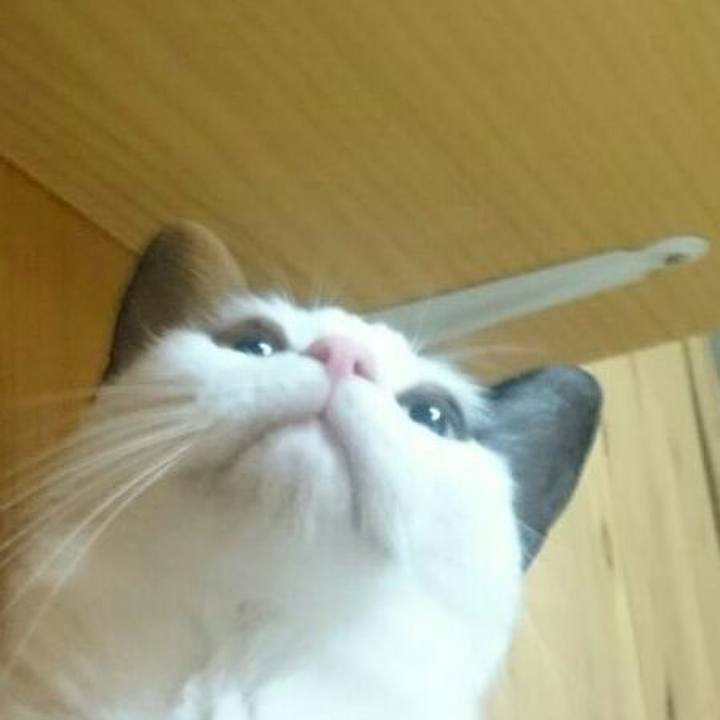 7b67576b b893 4abb 85ab 2a8c94b087e1