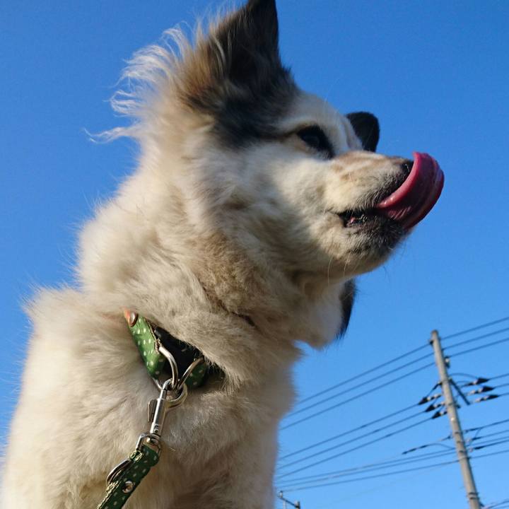 7b677a8f 7400 43fc a810 88b459f34b7a