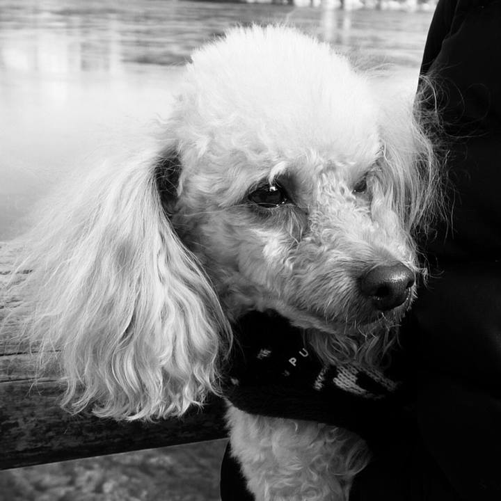 7b677cd2 963f 4ca8 8c5f f730e92442cd