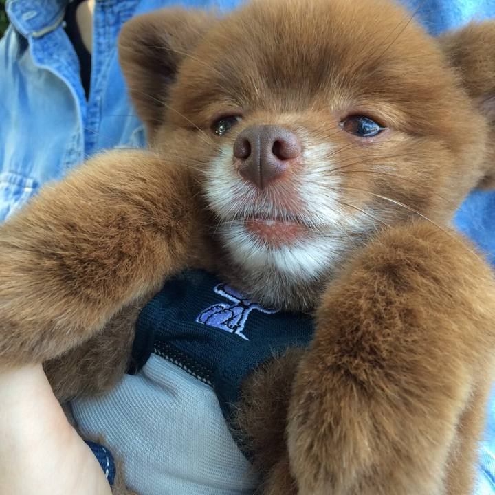 7b67a1ad 821d 4340 b0a3 3f15efe85ddd