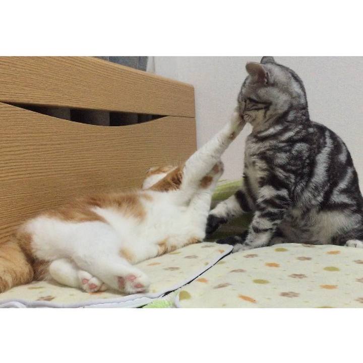 7b67ed99 bed8 4d8e aa4d 4d36cd5ae802