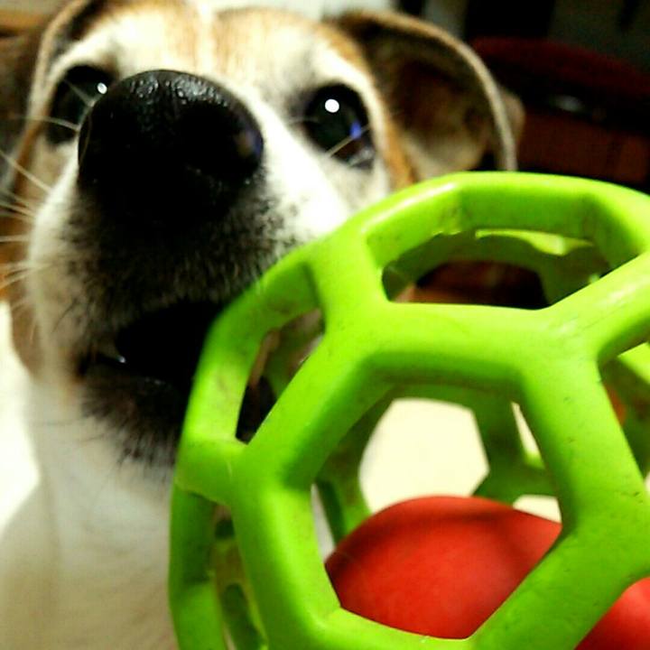 7b68caf3 5c5d 481f b944 20e09be3ede7