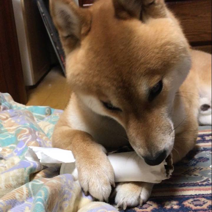 7b6a1518 0af3 4471 bde4 5840357bcf09