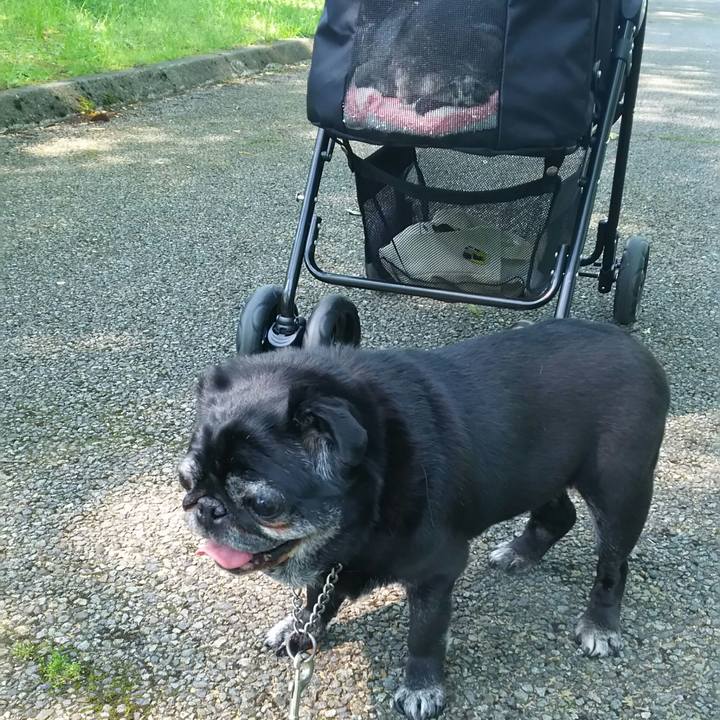 7b6a3e40 2165 4e75 a00e b5bd37df057b