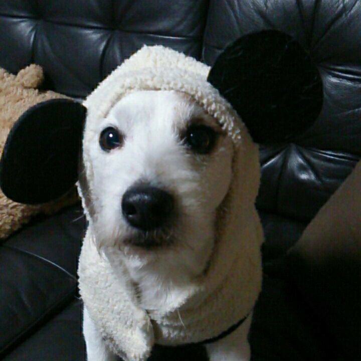 7b6a92ba bc2b 4ee7 8910 7d768bcf1e10