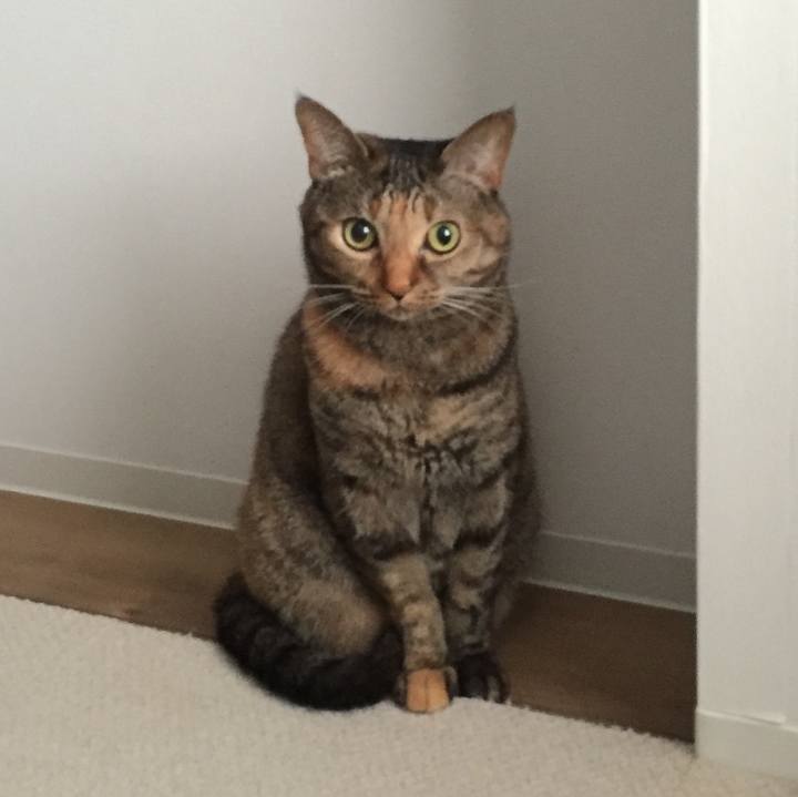 7b6ae4a0 fa62 4c32 9146 271d04d52da2