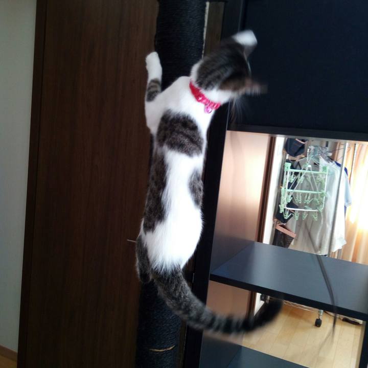 7b6d4d53 1bf4 4911 9a55 97fd45bd195c