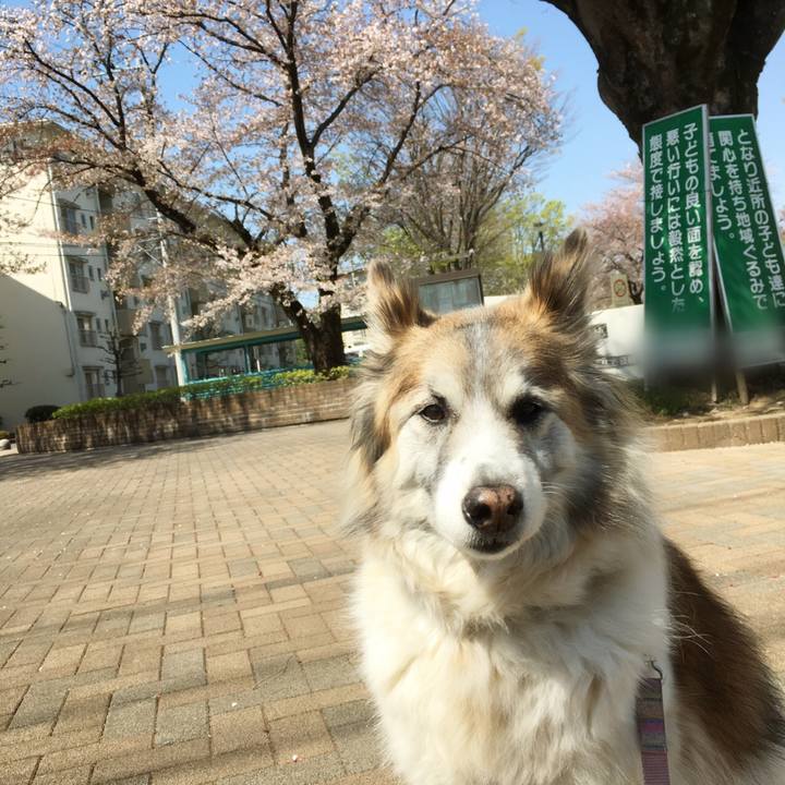 7b6d60da 2746 4223 8292 3905ca934fec