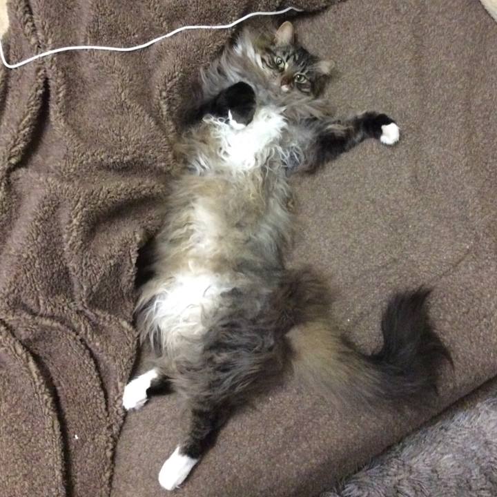 7b6da26e d51d 4067 9c69 bec0362221a8