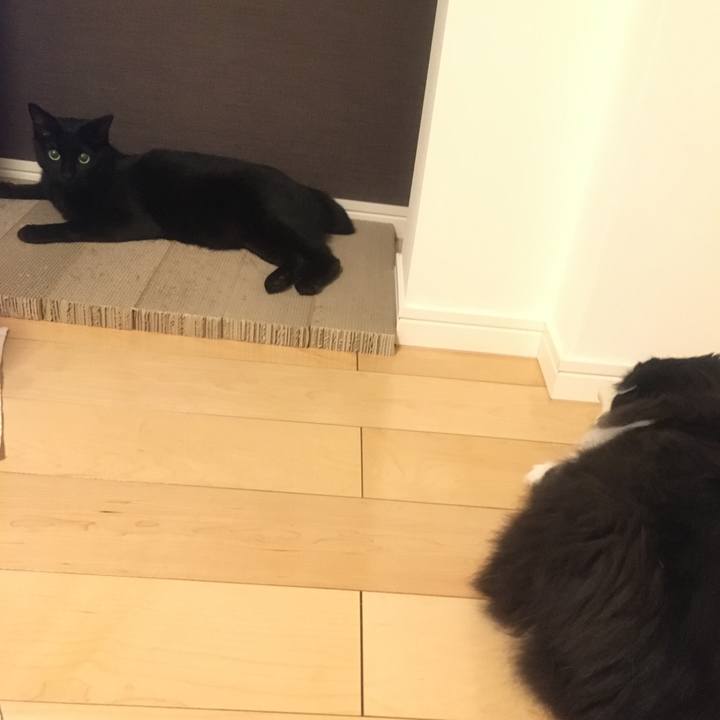 7b6dc133 e068 4b2b 85e2 0bb7e9e36e25