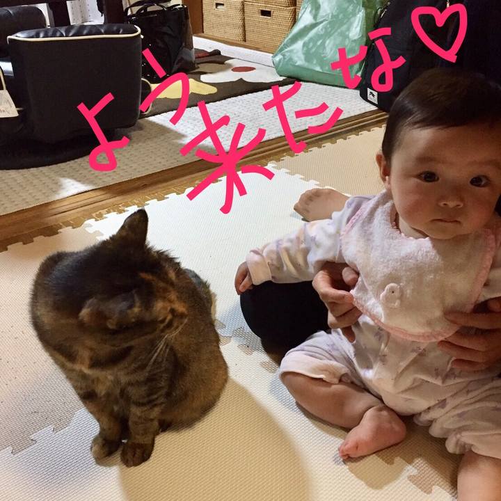 7b6e3ef2 90c4 4ad3 8f66 dff2aff01e92