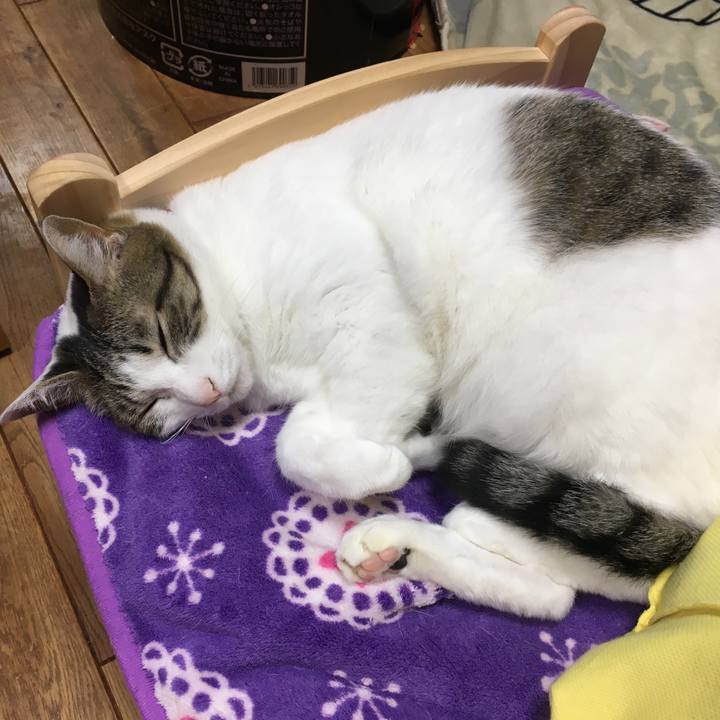 7b6ef040 8325 4608 9782 f228eabcee39