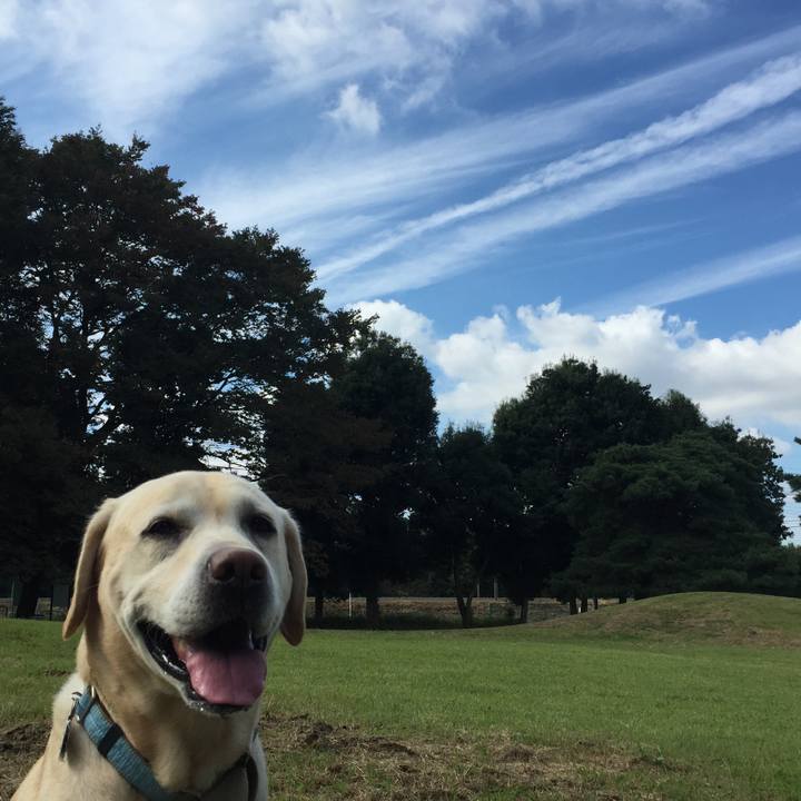 7b6f10cf f743 4b39 990b a80af60d7ebe