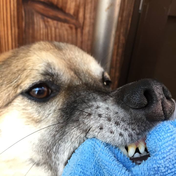 7b6f53cc 7acb 49f1 b76b d1313bd1e8ea