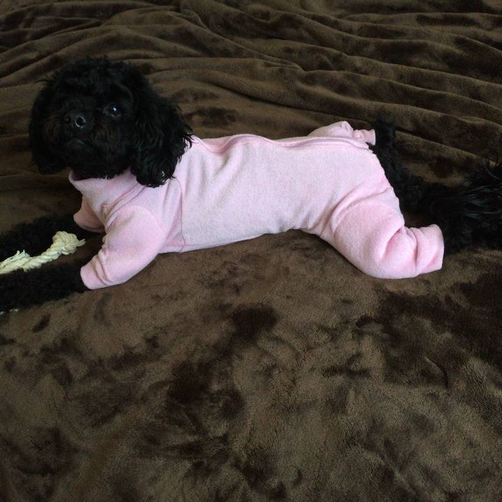 7b6fd6de 4bbb 4185 beb3 e373fbc26752