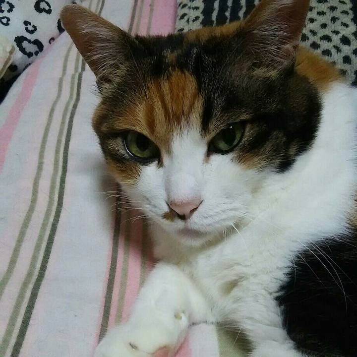 7b7162e1 e998 49bd b054 fcf4acaf8869