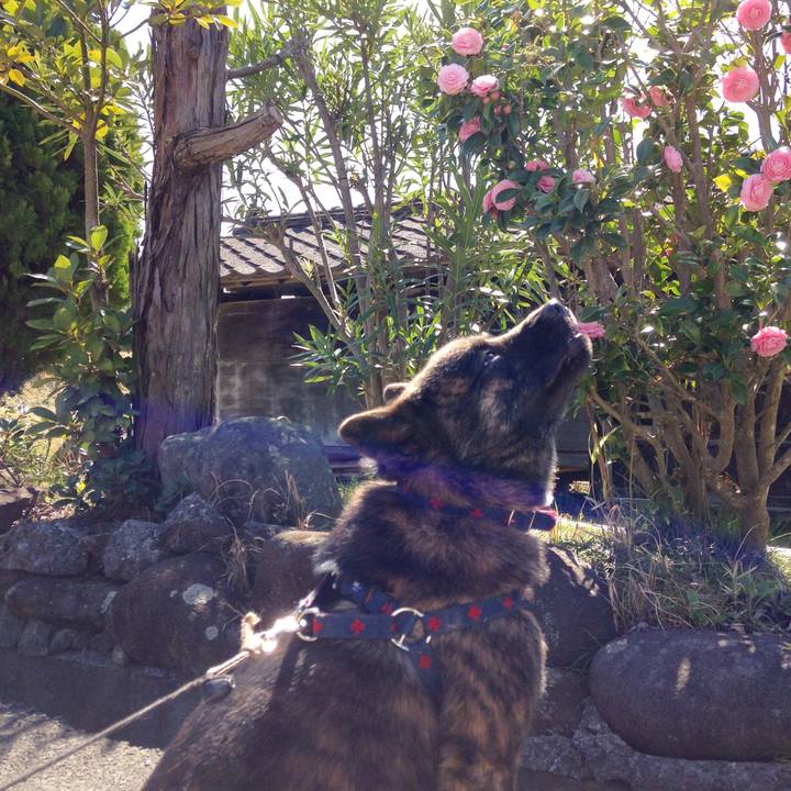 7b71e87c 43e4 440e 94a1 d8d804a6bd7f