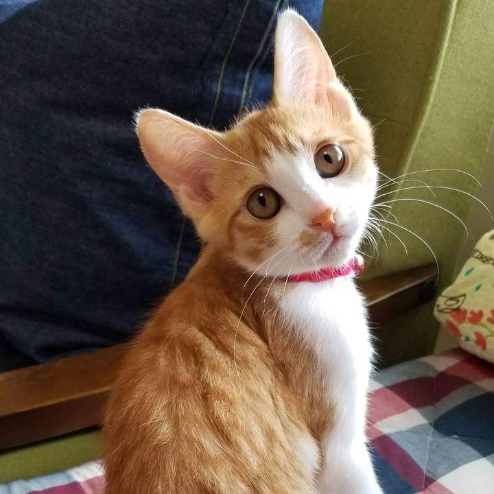 7b71eb3c 26f4 4a41 bfa5 b2d46c9000c1