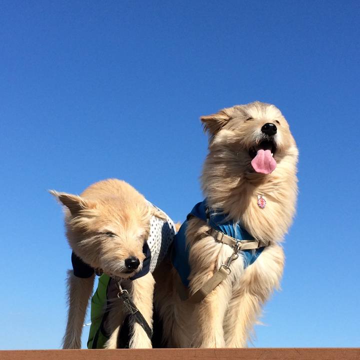 7b725142 9a4e 486e af95 b5fd8264a723