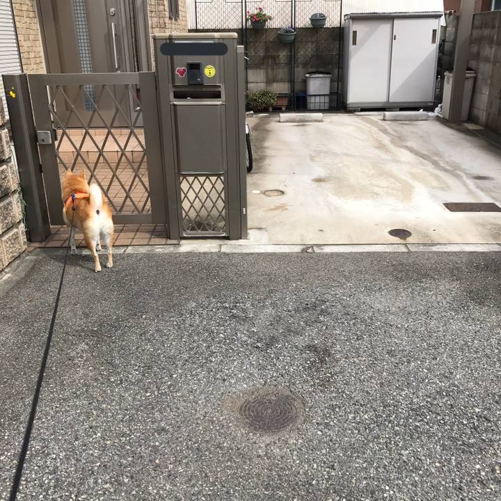 7b726357 5835 4425 871b 143c681b53cf