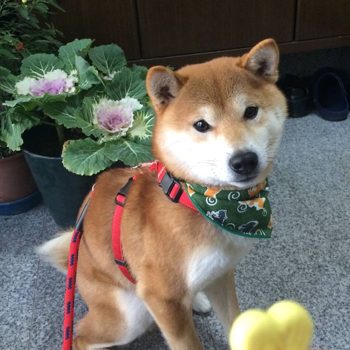 7b730549 0a4d 46c8 8562 4f30b8509e2b