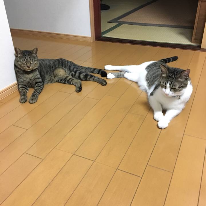 7b731466 6286 422b 8c91 48a39d8a1b74