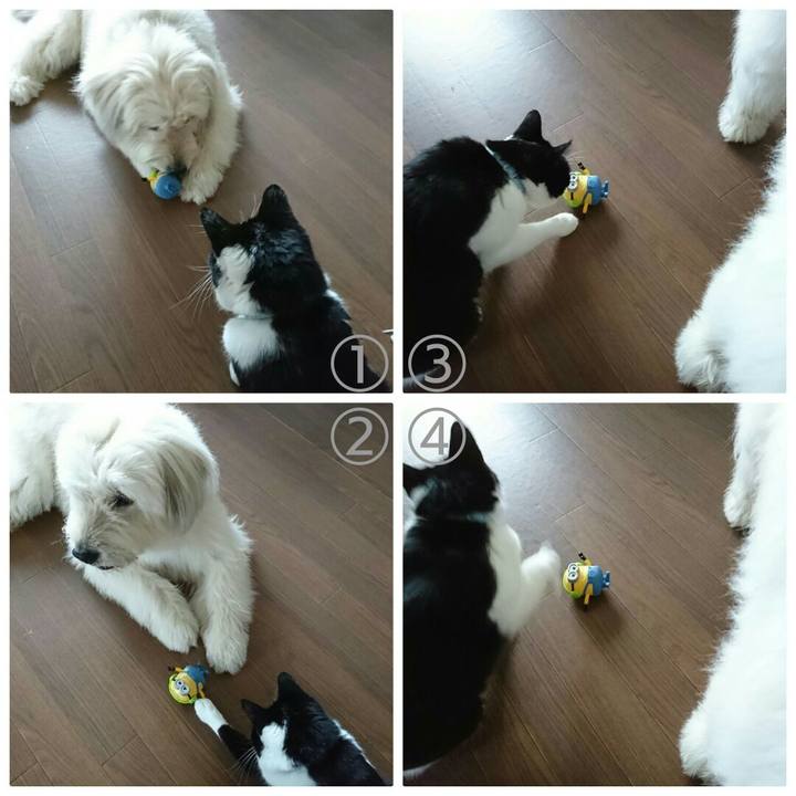 7b73930c 764e 4697 9cdd 5e40f7a51391