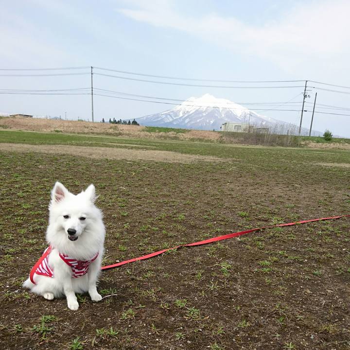 7b73b353 63fc 49f7 8a18 6a54a449c0ee