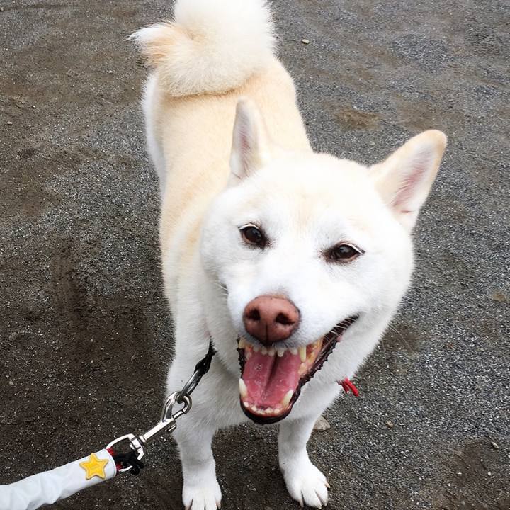 7b74042f b362 4288 93ec 44bd8dbfc8b4