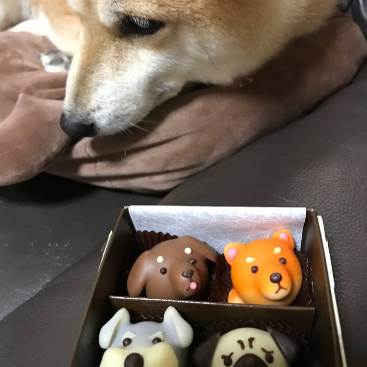 7b740cae d6b9 47e3 97b4 9bbc73a5492d