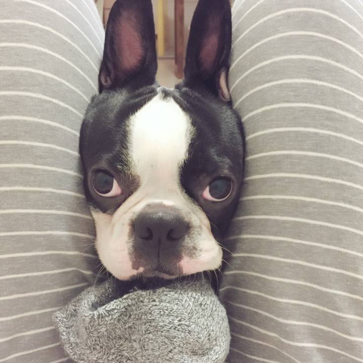 7b744a8e 2e4d 4611 a0ed 00f94adf632d