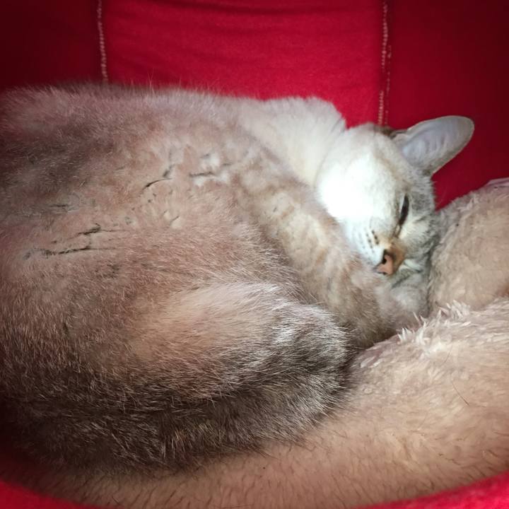 7b74520d a6a1 4d08 8114 be2747f2a447