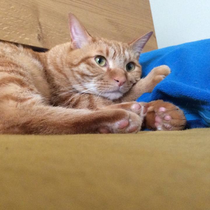 7b751f0d daa8 4068 b6b2 6e68e492acb3