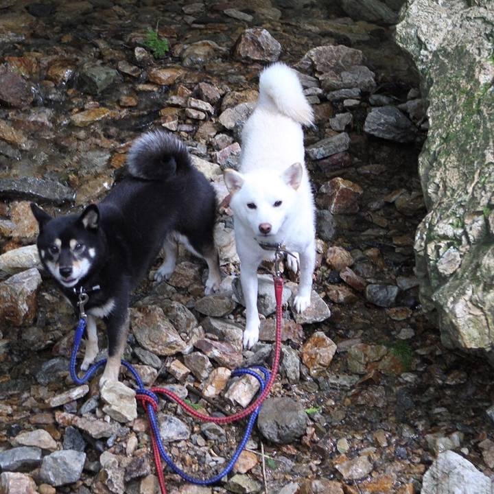 7b762bd5 6ef2 4837 9fef ded86c22da91