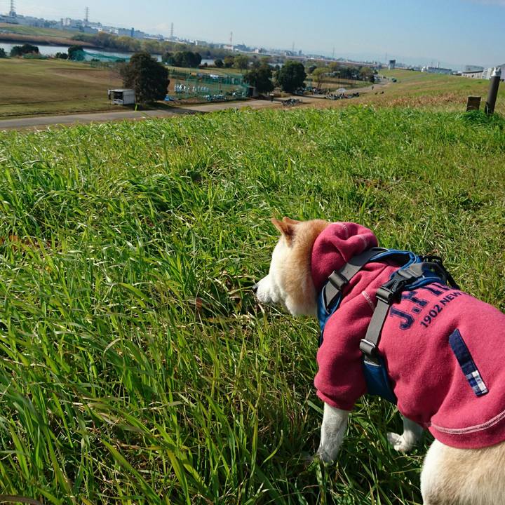 7b763d8d 148a 485c 91eb aab6afeff9cf