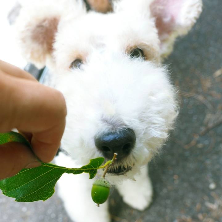 7b764dea fff8 49d7 b957 fc1faf53212a