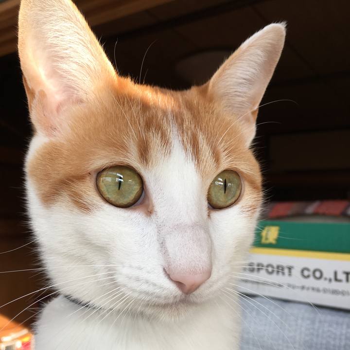 7b766e3b 19de 49ad 9033 0a62624ce0a6