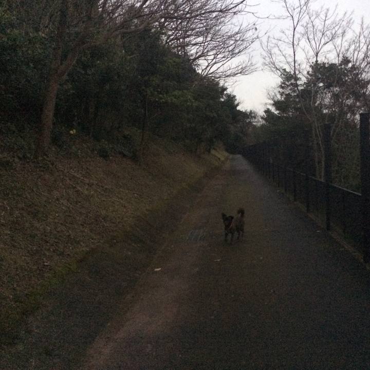 7b767956 4ce8 4603 b3ef 438dccb9b535